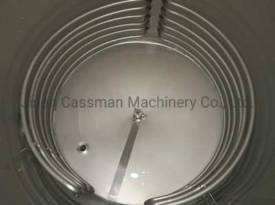 Cassman 300L 2 Vessels Electric Heating Beer Brewing Machinery for Sale