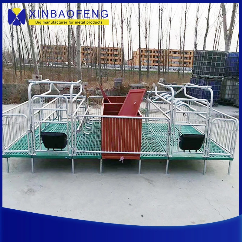 Factory Modern Automatic Swine Pig Farming Equipment with Steel Strucutre Building