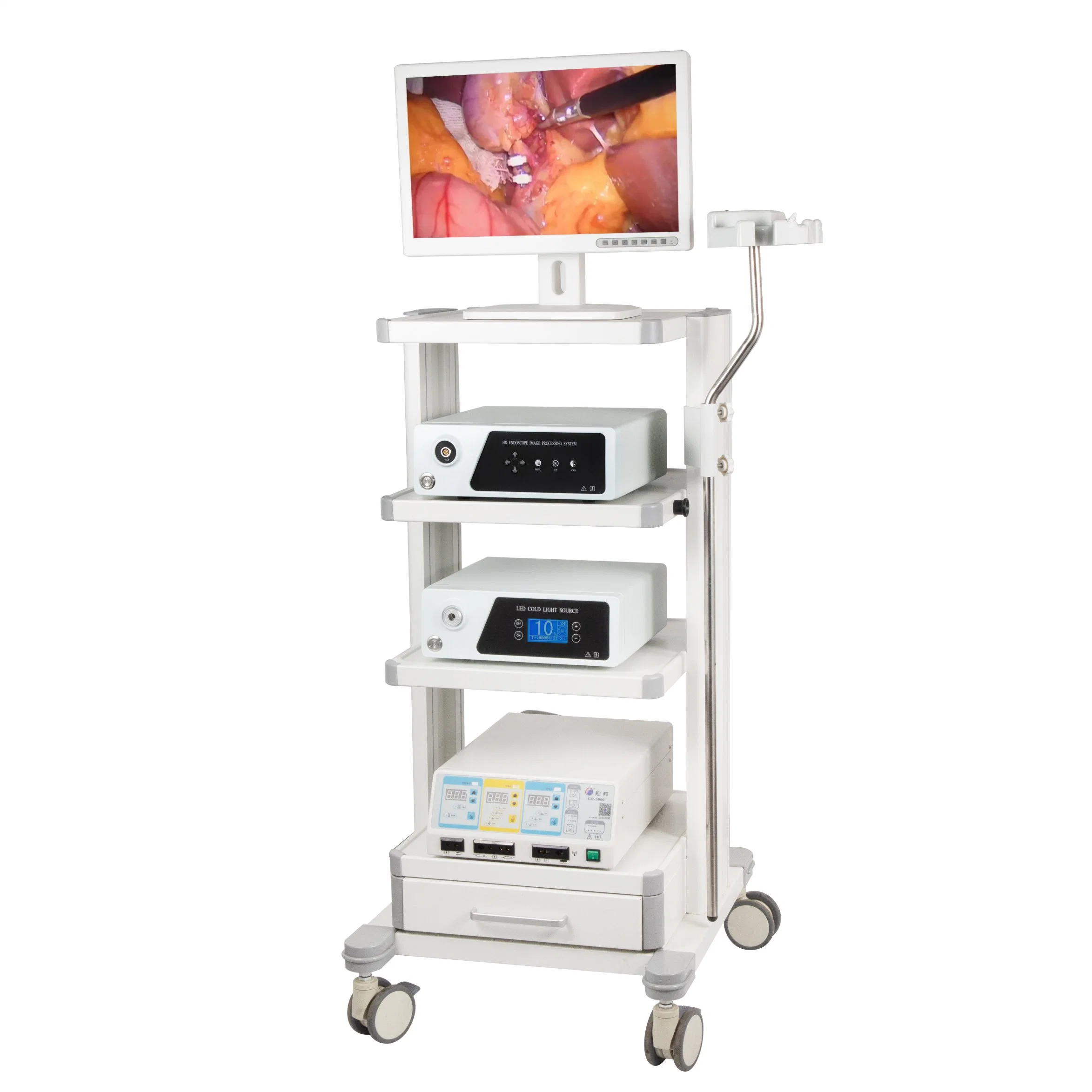 Portable Video System Endoscopy