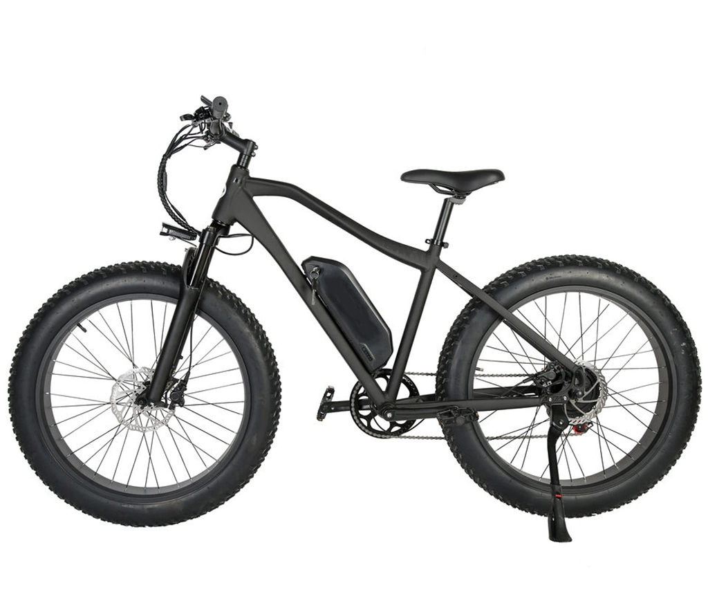 Entrega a domicilio entrega CE 500W 48V Smart Foldable Leisure E Bike 55km/H Fast Speed 45km Long Way City Electric Bicicleta