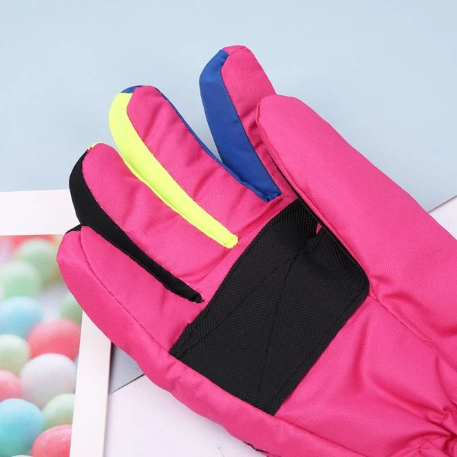 Winter Windproof Women's Warm Ski Gloves
