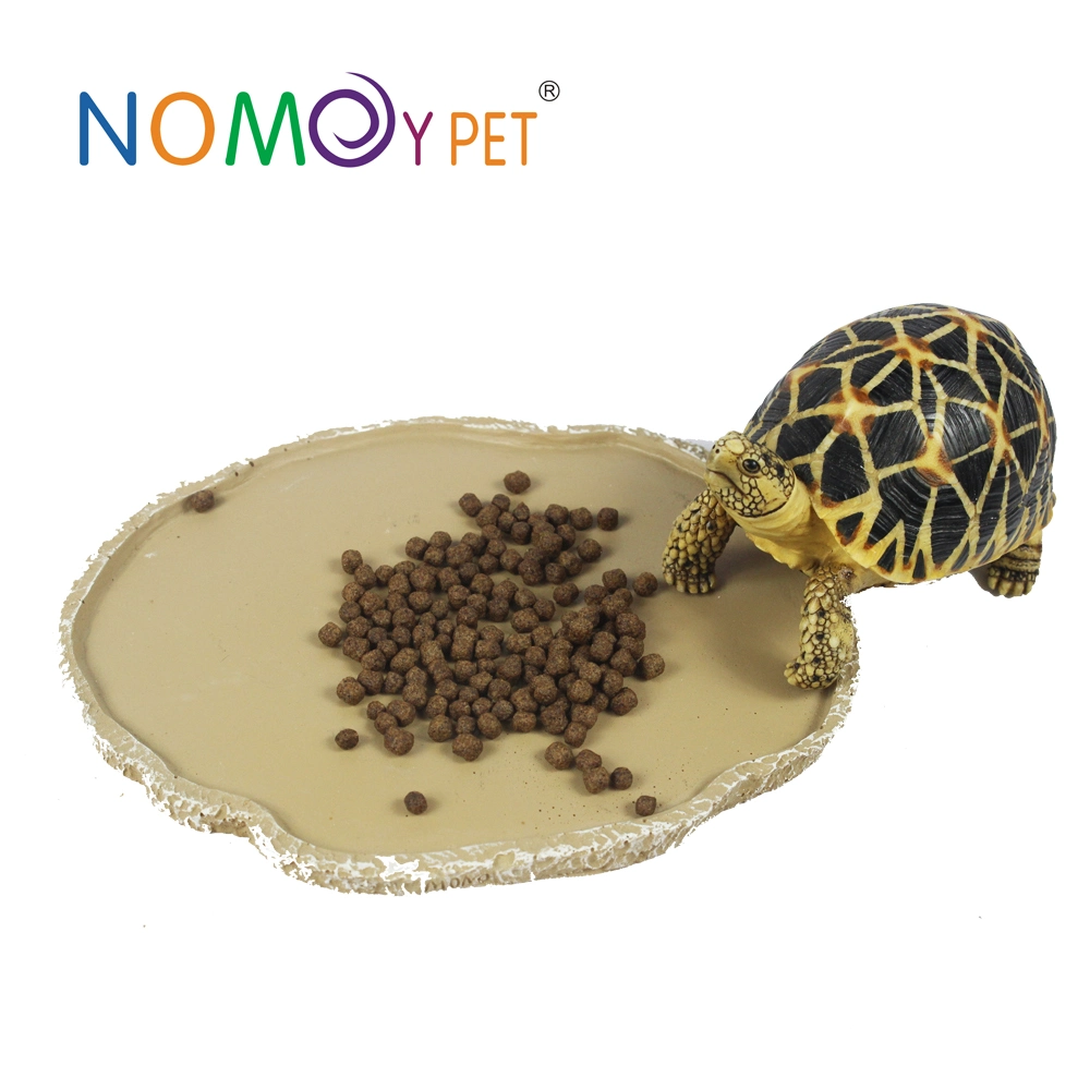 Nomoy Pet Feeder Bowl Basin Resin Non-Toxic Food Water Reptile Food Water Bowl Dish Feeder Reptile Turtle Tortoise Scorpion Lizard Crabs Pets Supplies