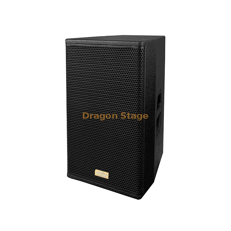 Dragonstage Professional Audio Equipment Indoor 10 Inch 250W Sound System Portable Speaker