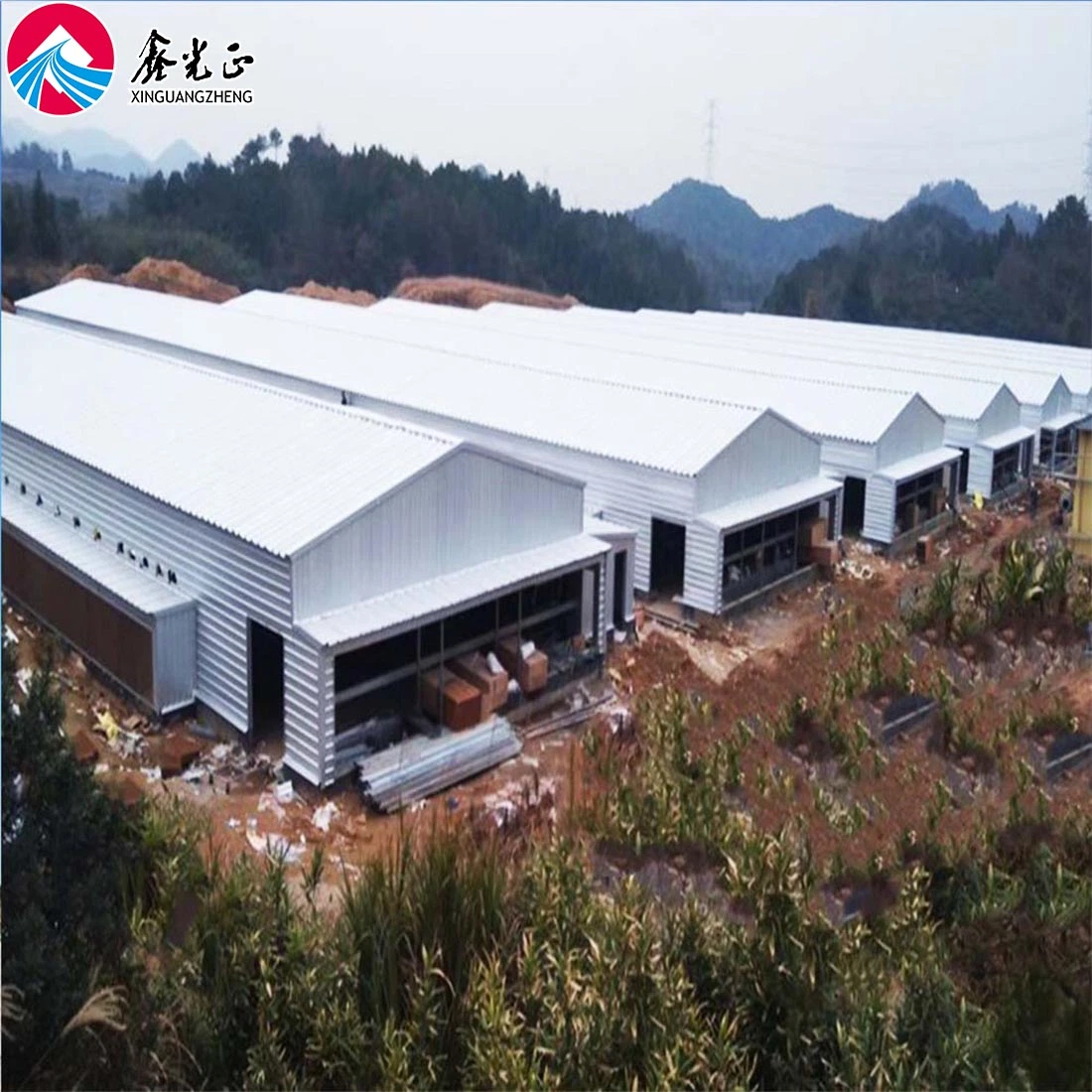 Chicken Poultry Farms House with Automatic Equipment