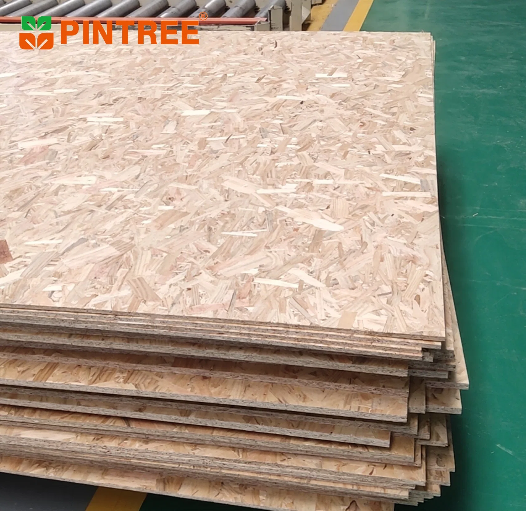 OSB2 OSB 3 9mm 11mm 12mm WBP estructural Raw normal impermeables de Álamo Pino Señor Mdi pegamento OSB para muebles