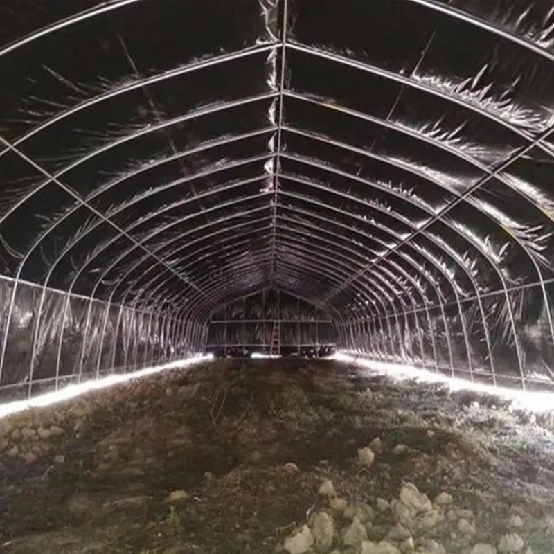 100% Blackout Single Tunnel Growing Green House for Mushroom and Medical Plants