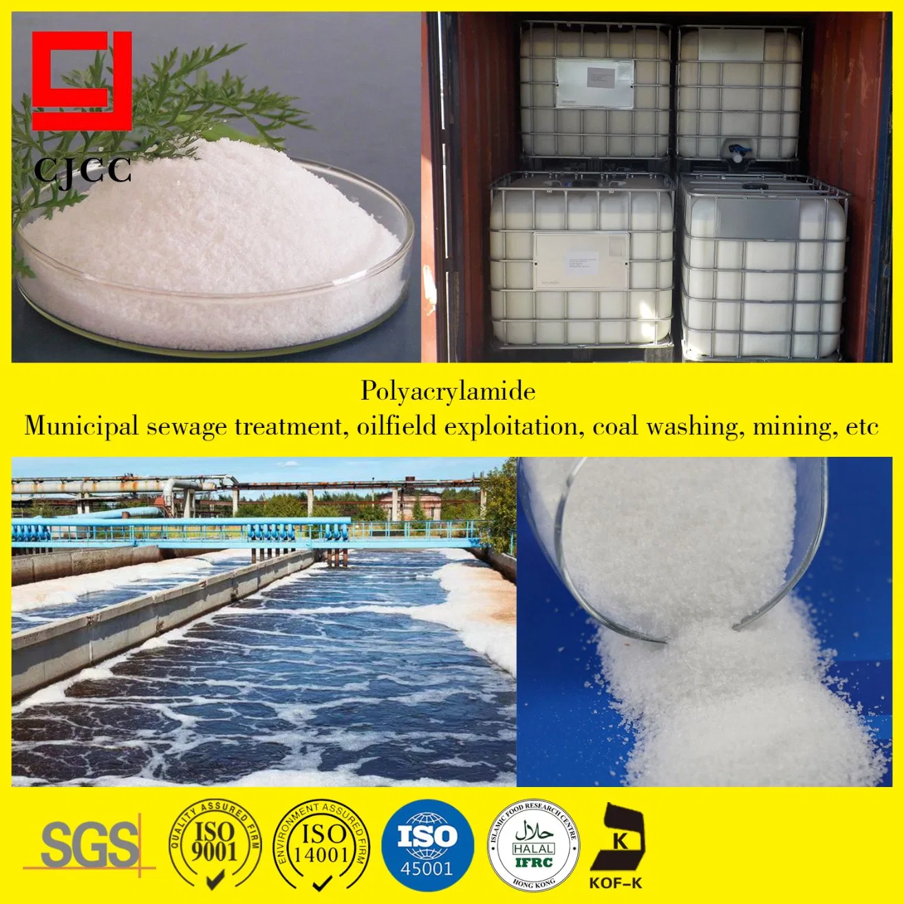 Factory Sale Chemicals for Drill Fluid Chemicals Water Treatment Cationic Flocculant Powder Polyacrylamide