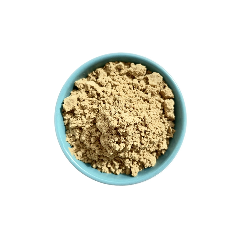 Factory Supplier Chinese Herbal Gentian Extract Powder Gentian Root Extract