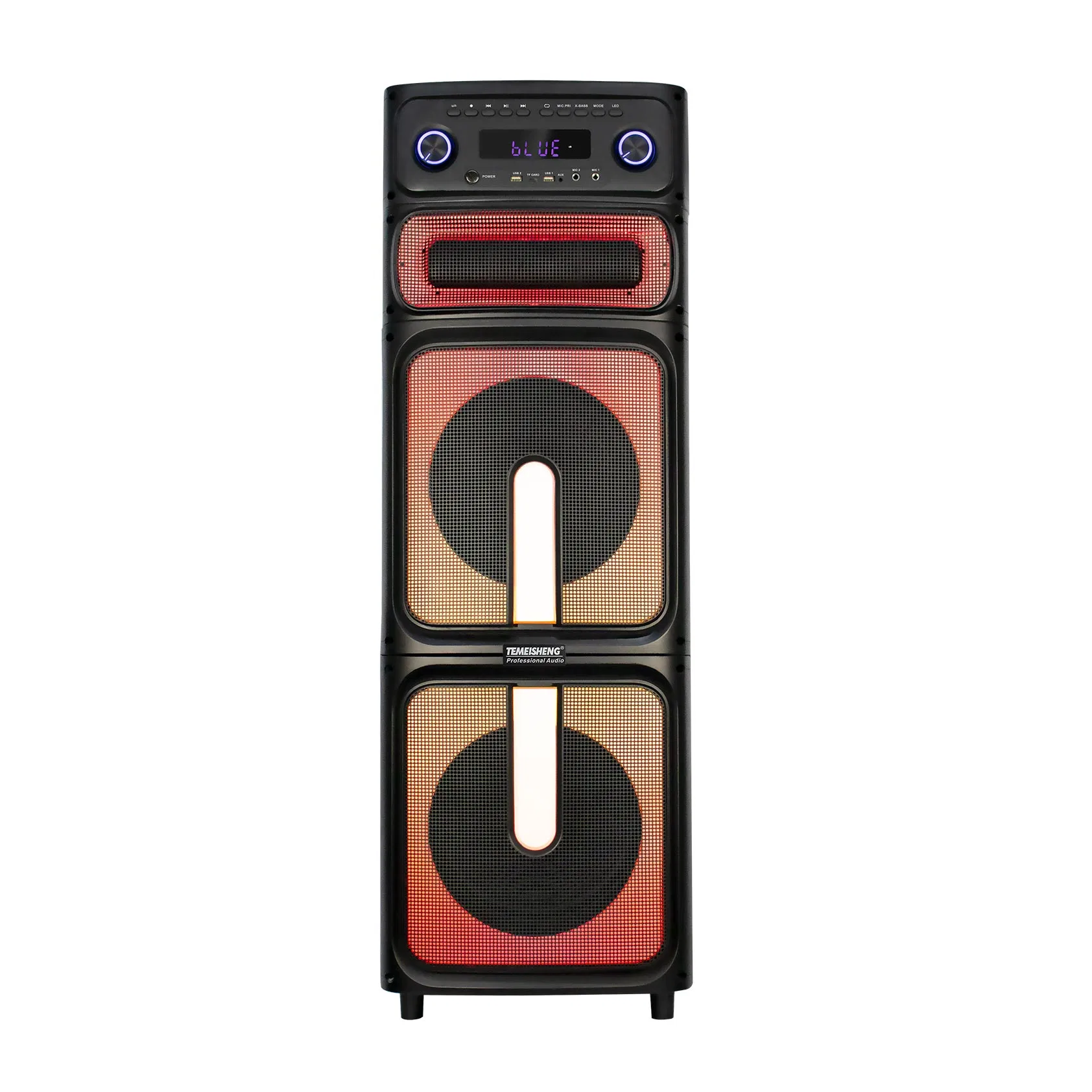 Temeisheng Personal 2*12inch modèle avec Karaoke DJ Super Bass Home Haut-parleur