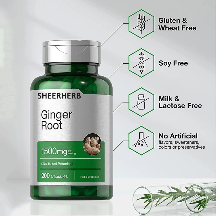 Alimentación Fruiterco Extracto de Raíz de jengibre en polvo Gingerol un 5% de extracto de jengibre