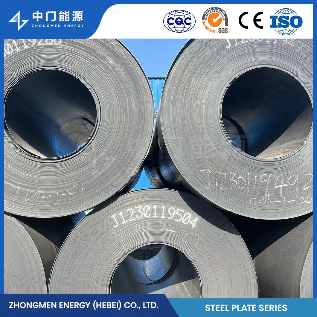 Chromium Carbide Plate China Q690e Wear Resistant Steel Plate for Vibrating Screen