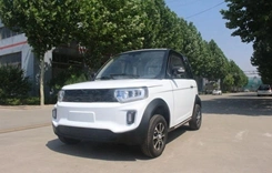 2021 Hot Sell Electric Car Made in China with The Cheapest Price and EEC Certificate Brand New One