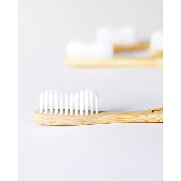 Ecco Friendly bambou produits brosse à dents de Bambou 100% nature organique biodégradable