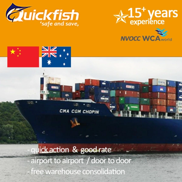 Agent de fret professionnel avec fournisseur de services de logistique expérimenté LCL FCL Expédition de conteneurs de la Chine à l'Australie/Mexique par la porte de mer à Porte