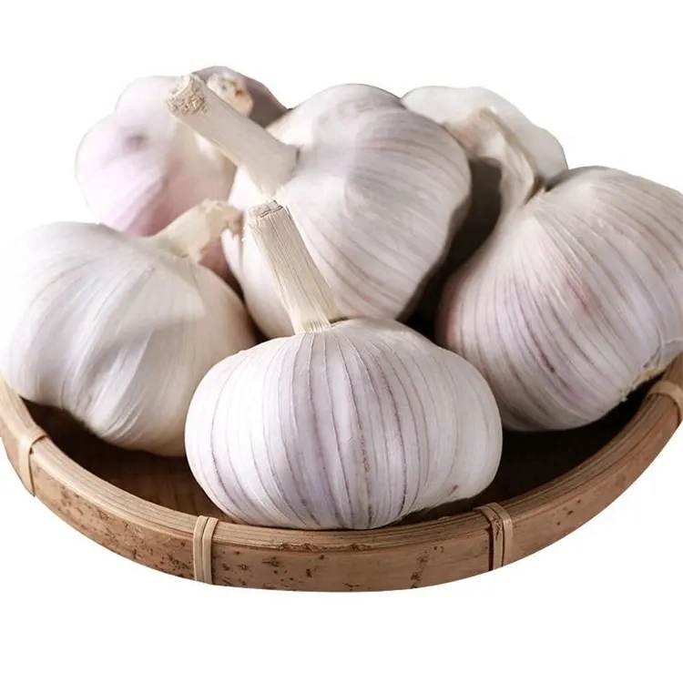 Fresh Garlic Price Per Ton From China Wholesale Price for Supermarket (Normal White Garlic & Pure White Garlic)