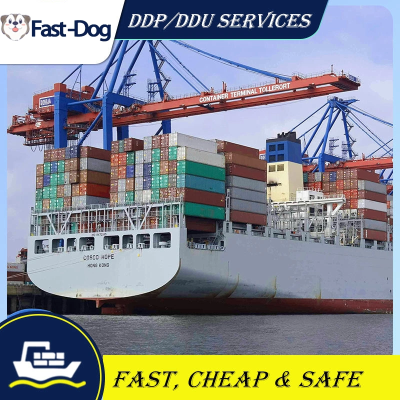 Best Shipping Service Supplier China to USA/ UK/Canada Door to Door DDP Air Freight