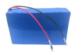 Un38.3 Certificate 36V 20ah 18650 Lithium Ion Battery Packs with BMS for Electronic Appliances