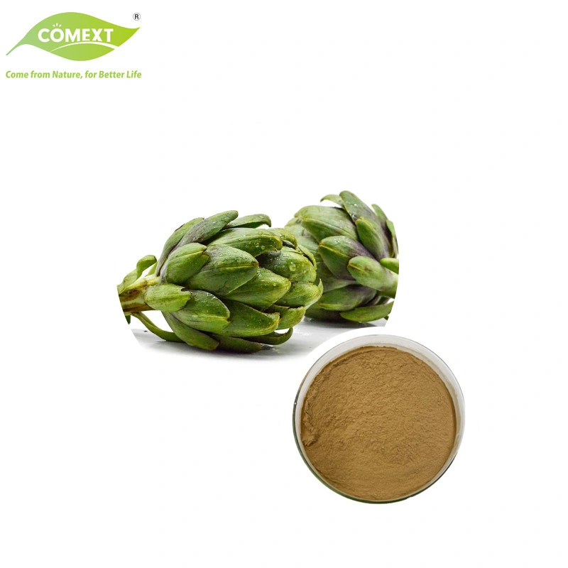 100% Pure Natural Plant Extract Cynara Scolymus Extract Cynarin Artichoke Powder