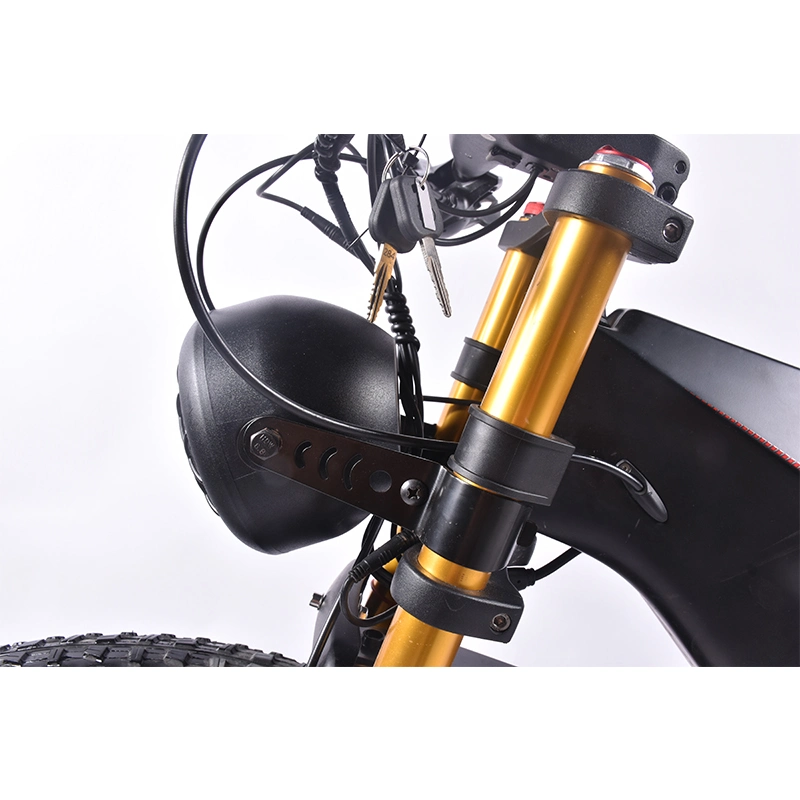 40% off 750W Bafang Rmg062.750 Motor Carbon Fiber Fat E Bicycle