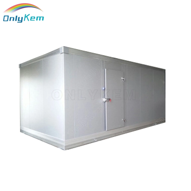 Industrial Refrigerator Blast Freezer Cooling Refrigerator Walkin Freezer Cooler Glass Door Solar Cold Storage