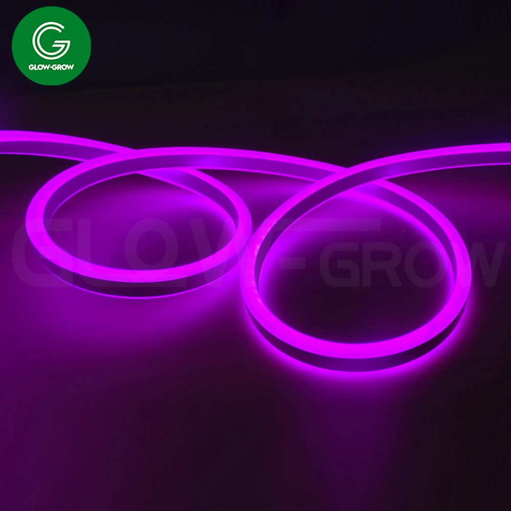 ETL UL 50m IP65 8*16mm Neon Flex LED Strip Lights for Outdoor Commercial Landscape Building Decoration