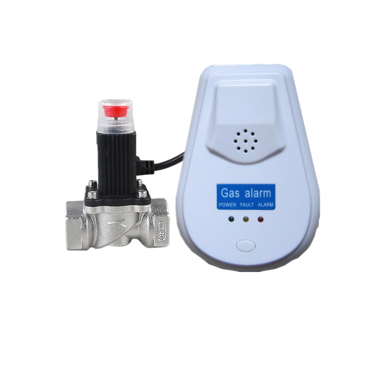 Domestic Natural Gas Detector Kit