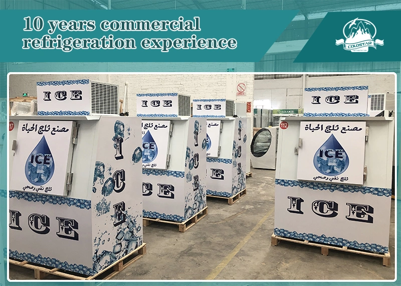 Bolsa de almacenamiento de hielo Bin Interior/exterior/Ice Merchandising, Ice Shop Equipment with Slant Front - Auto Defrost