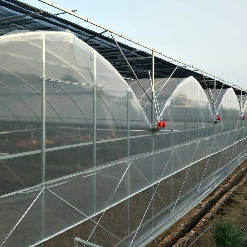 Agriculture Multi-Span Film Greenhouse for Planting Vegetables