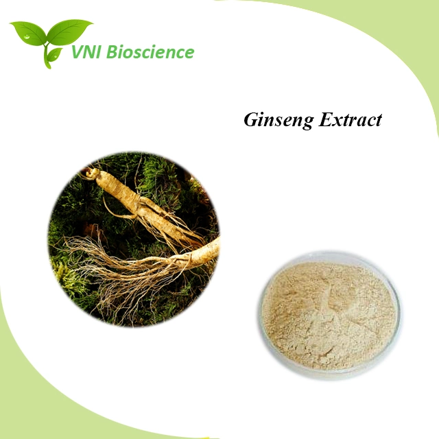 Kosher Halal Certified 100% Natural Ginsenosides Panax Ginseng Extract