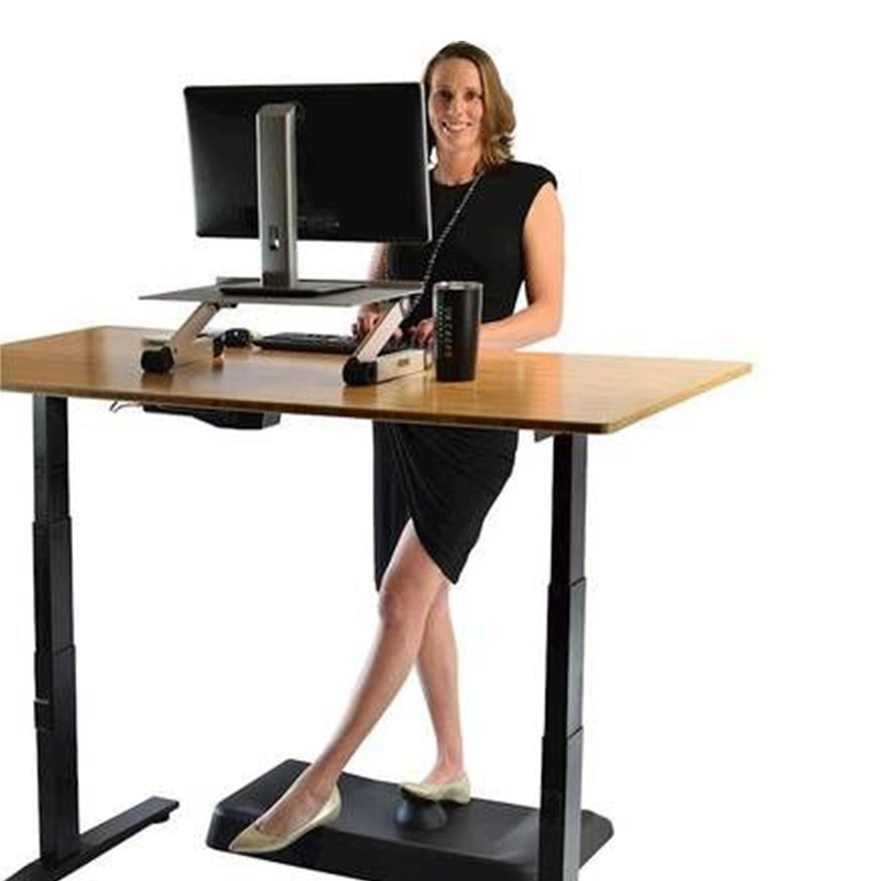 Computer Desk with Shelves Electric Lift Standing Desk Control Kits Standing Desk