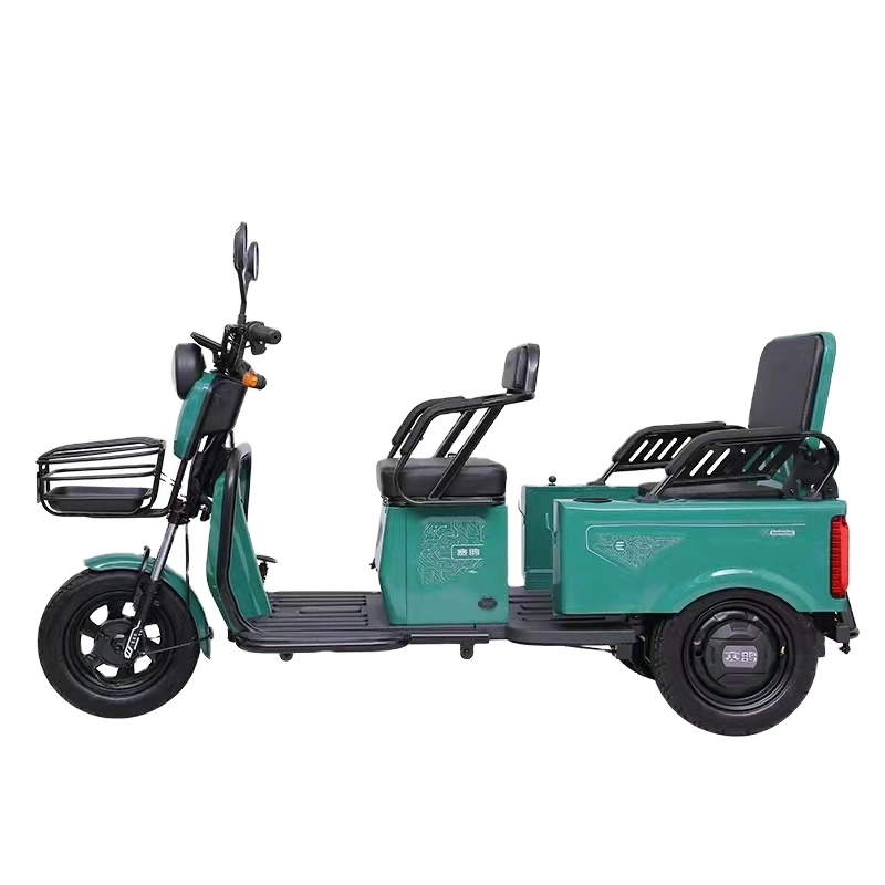 Electric Kick Scooter for Elderly EEC Coc Wheelchair 3 Wheels Electric Bikes