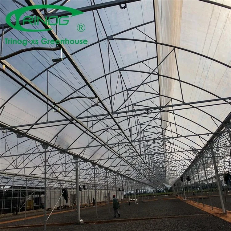 Vegetable Greenhouse Flower Growing Multi-span Film Greenhouse for Seed Nursery