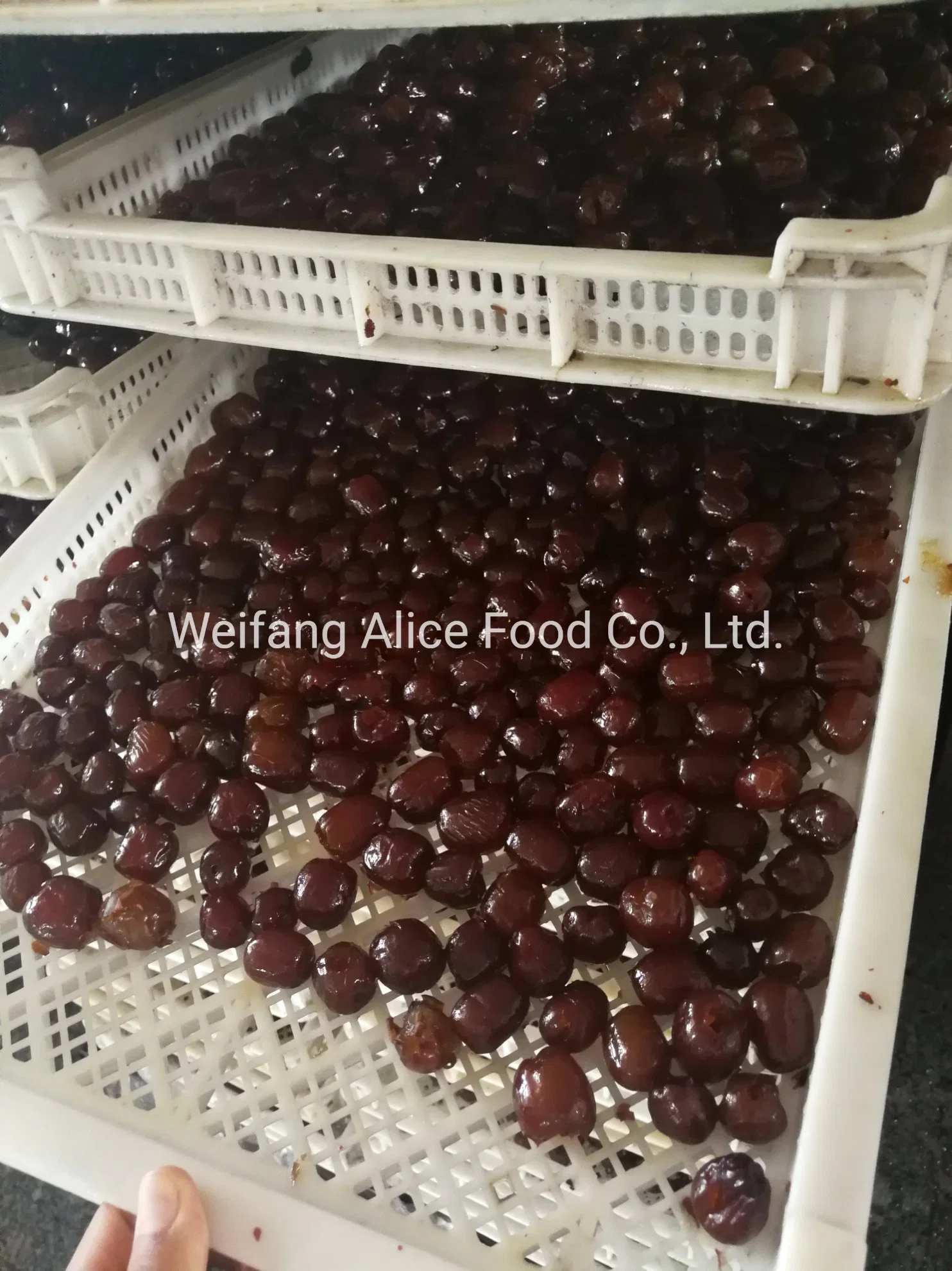 Wholesale/Supplier Chinese Honey Jujube Dried Dates Best Price Dry Dates