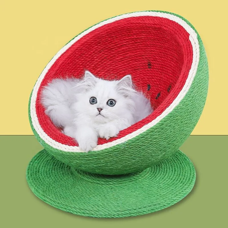 Raspador Designer moderno Moda bonito DIY Watermelon escalada Cat Tree Torre da Casa