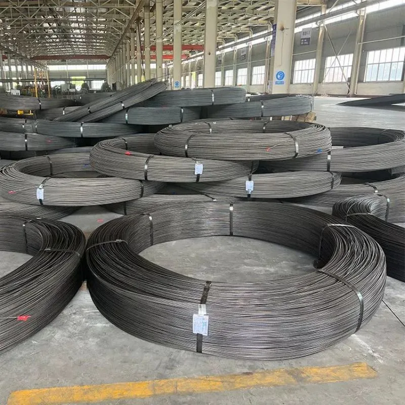 SAE1008 SAE1006 Carbon Steel Wire 1022A Wire Rod Phosphated Annealed Steel Wire for Dry Wall Screw Making