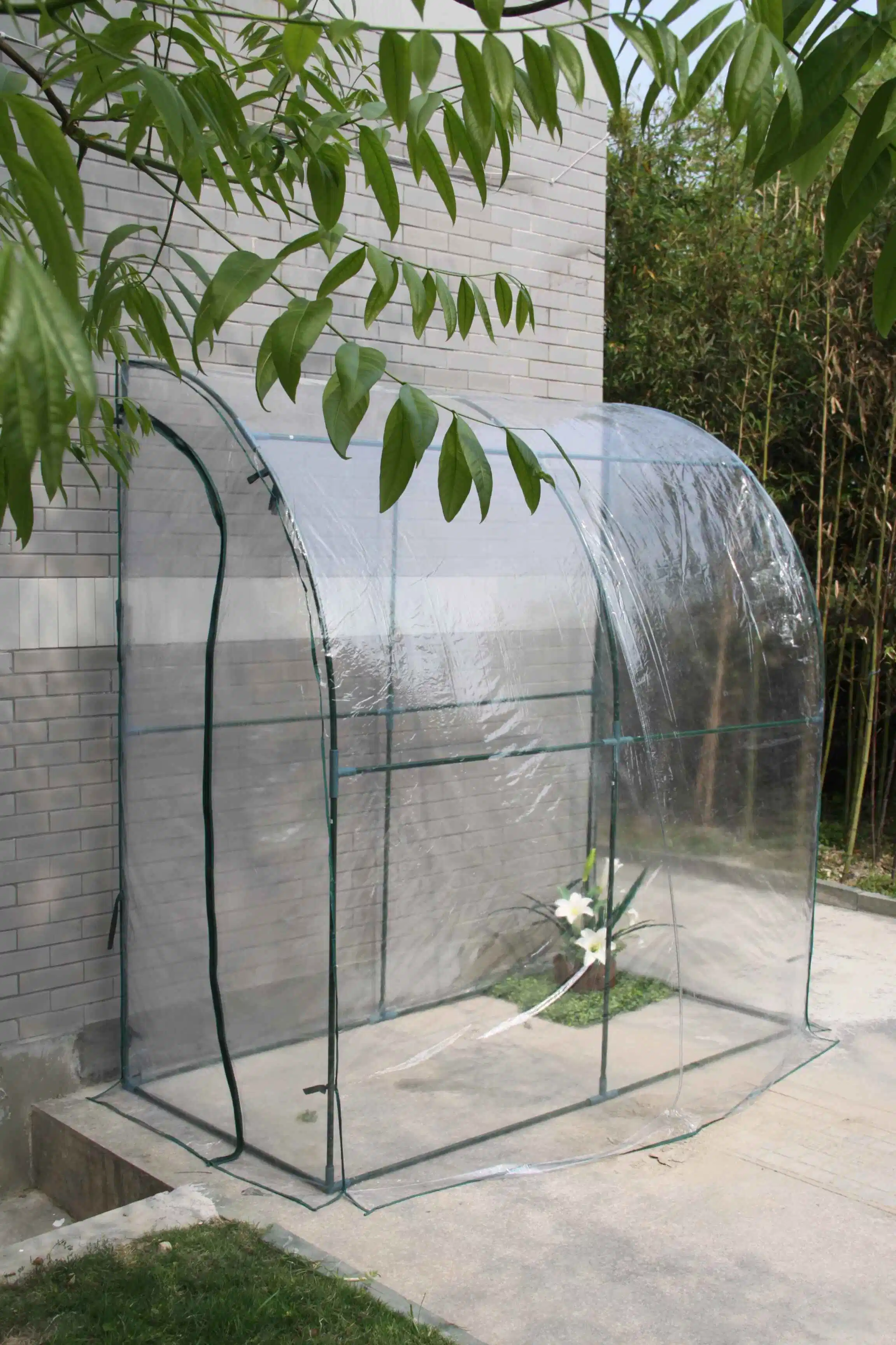 Transparent Mini Lean to Greenhouse for Indoor Use