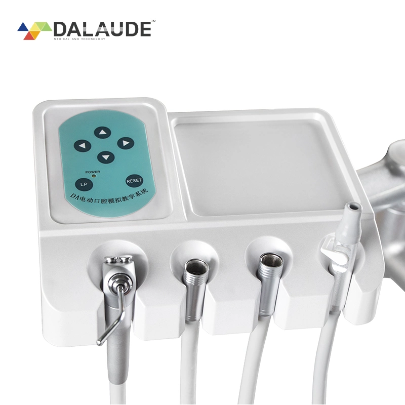 Dalaude Dental Patient Training Simulator Unit Oral Teaching Simulation Practice Simulator