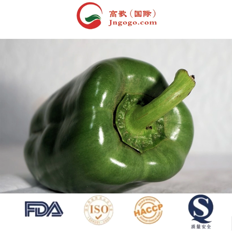 Superior High quality/High cost performance  Pepper Red Chili Seed Chili