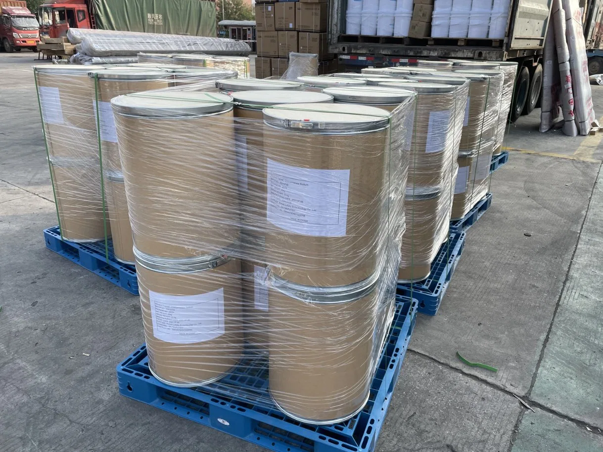 Factory Price Sodium P-Styrenesulfonate/ Styrene Sulfonate CAS 2695-37-6