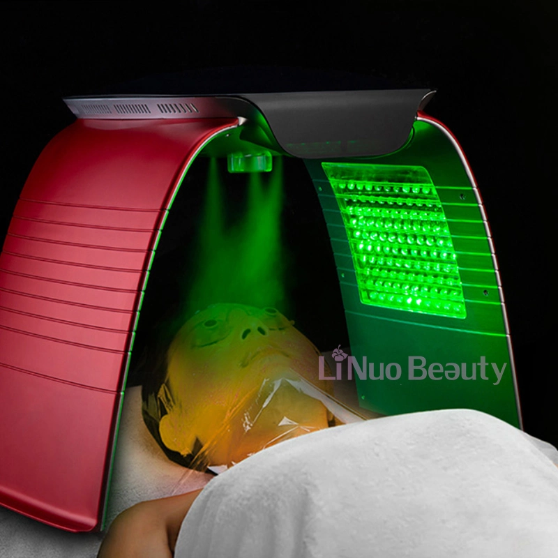 Portable spa facial de lumière LED PDT la machine avec le pulvérisateur de brouillard