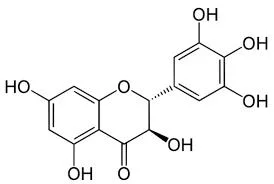 Дополнение к здоровью 80% экстракт чая мирицетина порошковой сосны