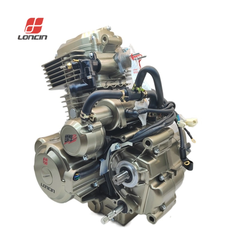 OEM Loncin Thunderbolt 300cc Engine Water-Cooled 4-Stroke Tricycle Engine Assembly for Bajaj