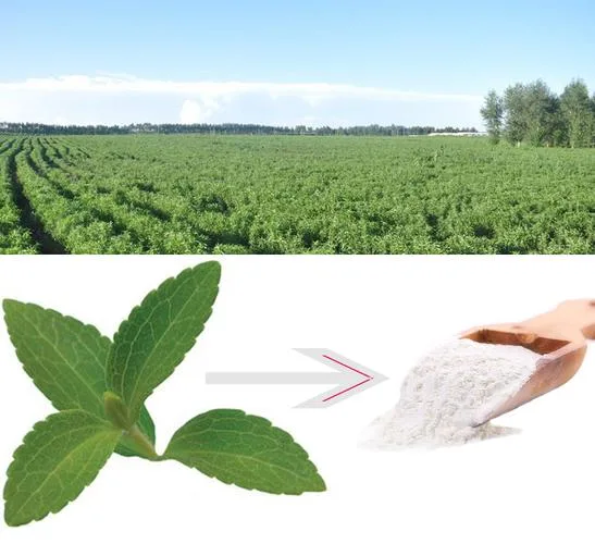 100% Organic Plant Leaf Extract Pure Bulk Stevia Powder