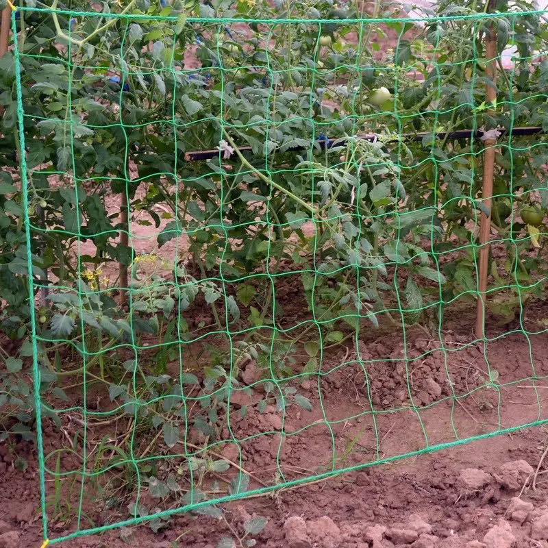 Malla de tejido de poliéster Spot la escalada de la Jardinería plantas de vid de uva Net Esponja de masaje Flor andamios escalada Hidroponía crecer Net