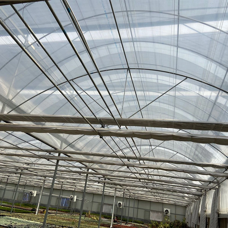 Structural Roofing Xinhe Standard Packing Container Customized Polycarbonate Multi-Span Greenhouse