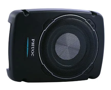 10 pouces Active Slim Sub Woofer voiture sous le siège de haut-parleur subwoofer avec amplificateur