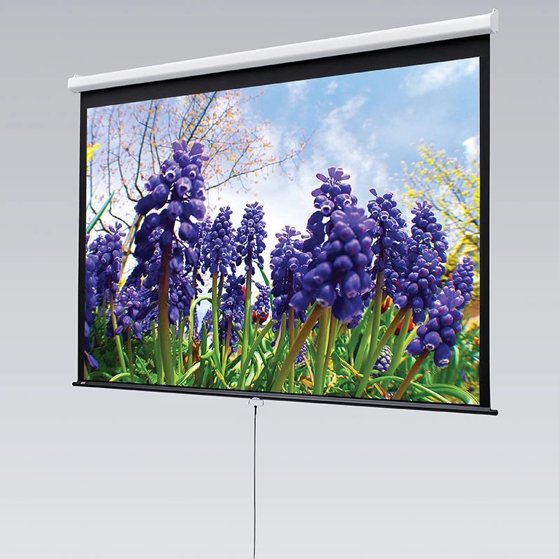 Indoor Ceiling Wall Mounted White Portable Projection Screen