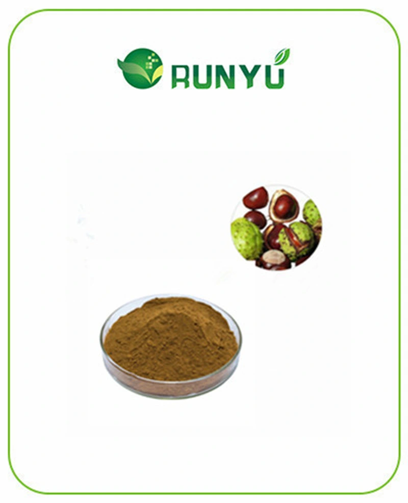 توريد المصنع أفضل سعر طبيعي Aesculus Chinenesis استخراج مسحوق Aescin 20% فوق بنفسجي