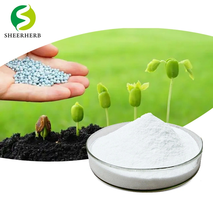 Agricultural PGA for Water and Nutrition Retention Polyglutamic Acid (PGA) for Improving Soil Quality