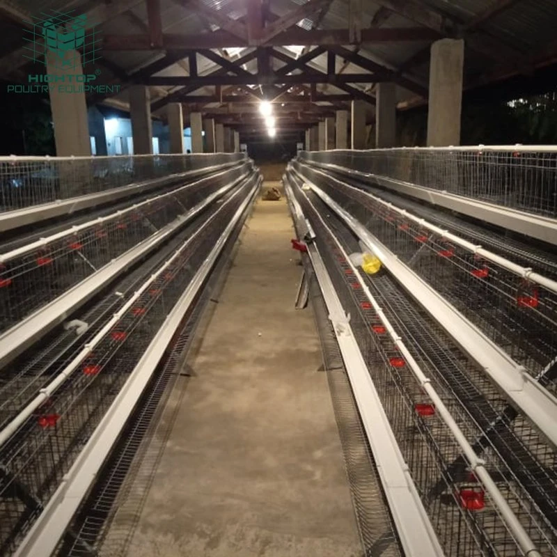 Un tipo 4 Tiers galvanizado en caliente de 20 años de vida de la jaula de la capa de pollo con el auto Sistema de Agua para la cría de aves